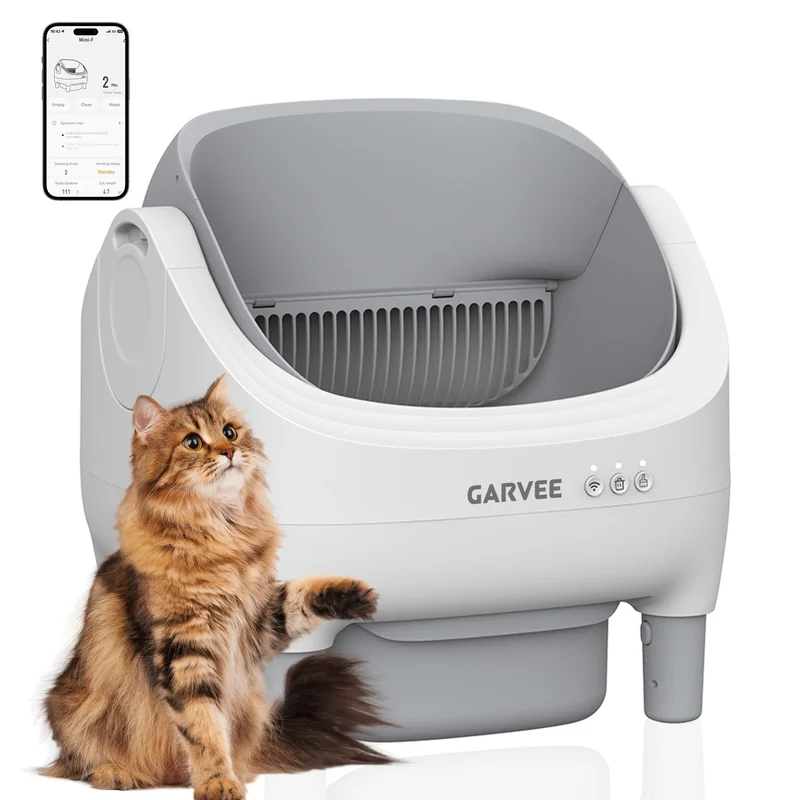 garvee4853782