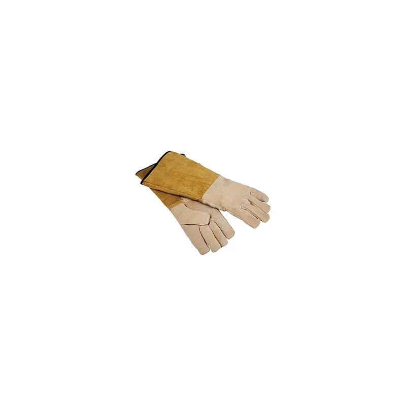 ibspot-154571