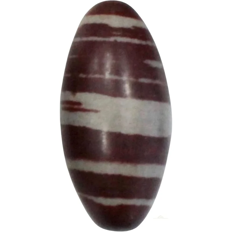 ibspot-2107918
