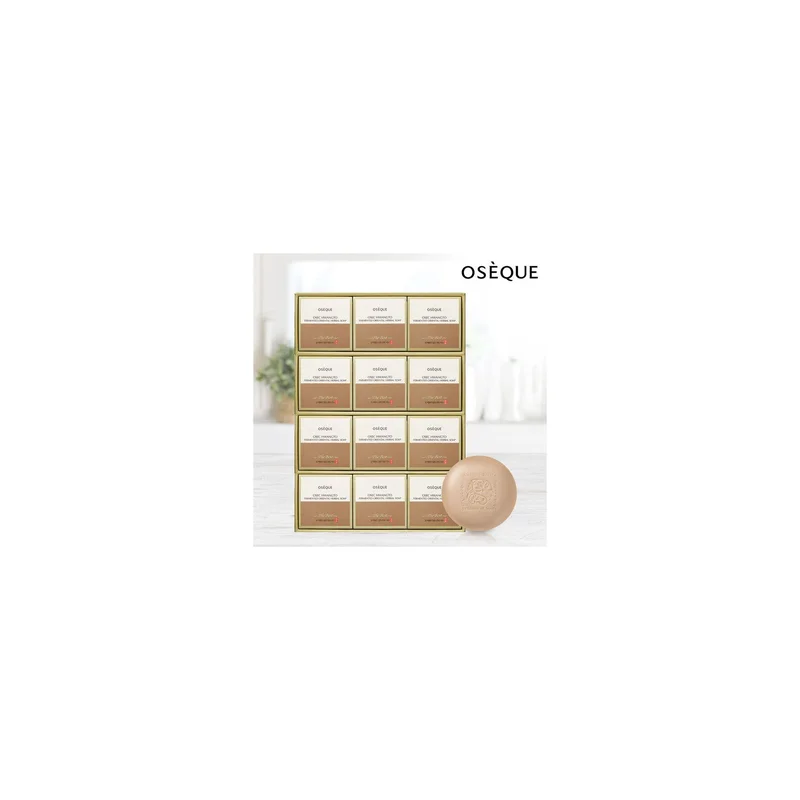ibspot-2200374