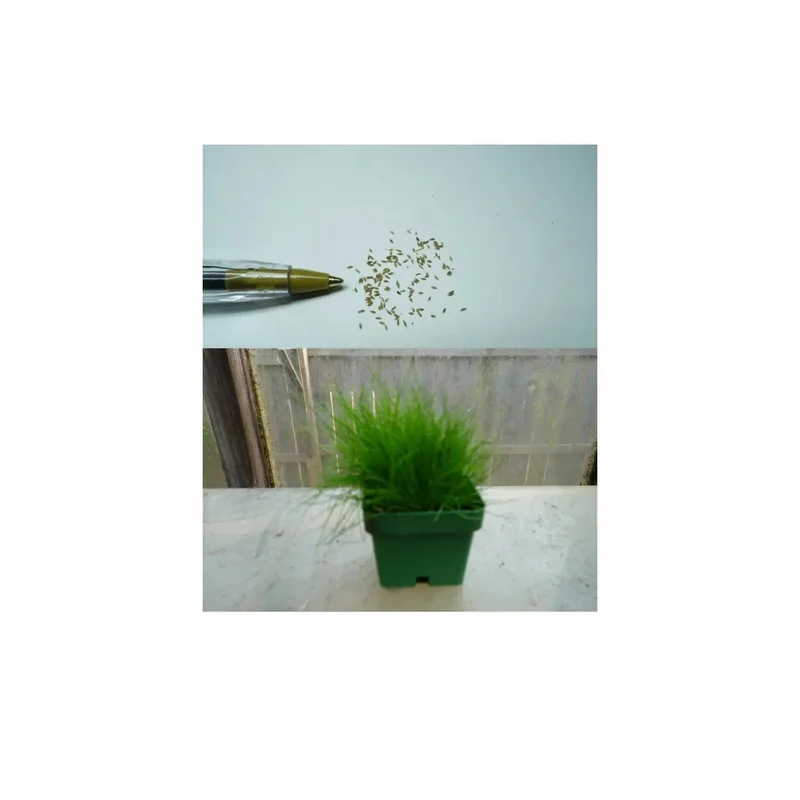 ibspot-3147363