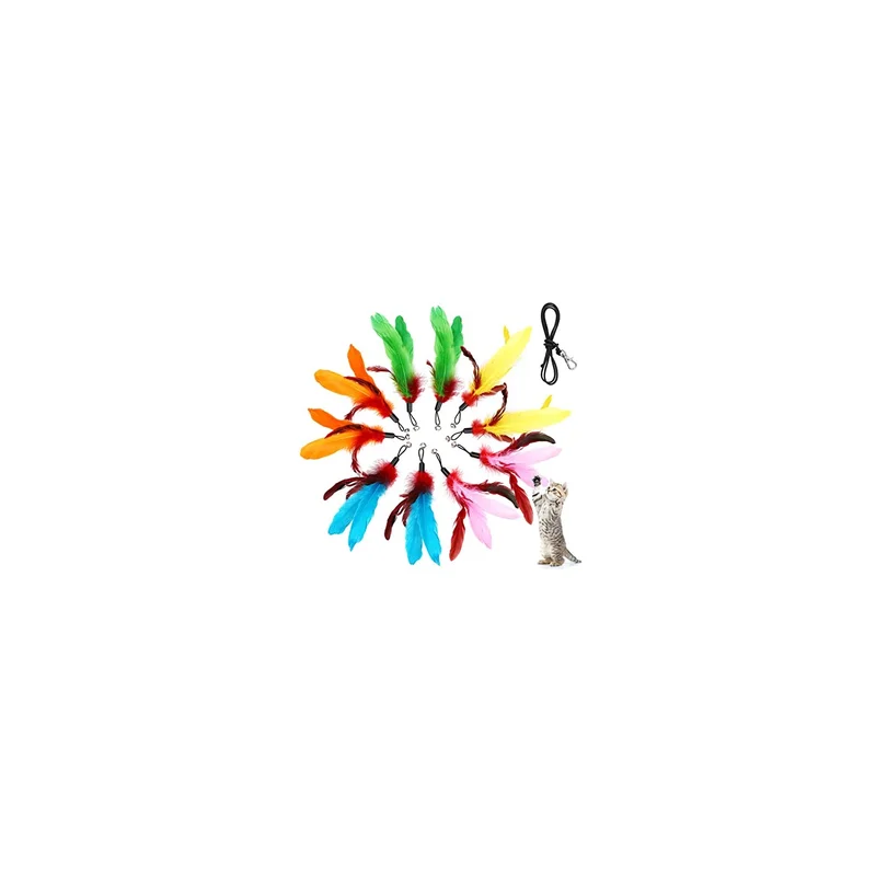 ibspot-35137065