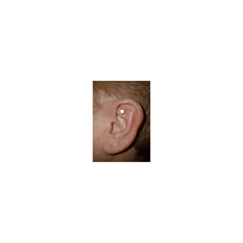 ibspot-4116560