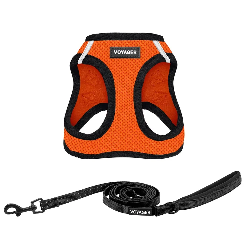 ibspot-45066344