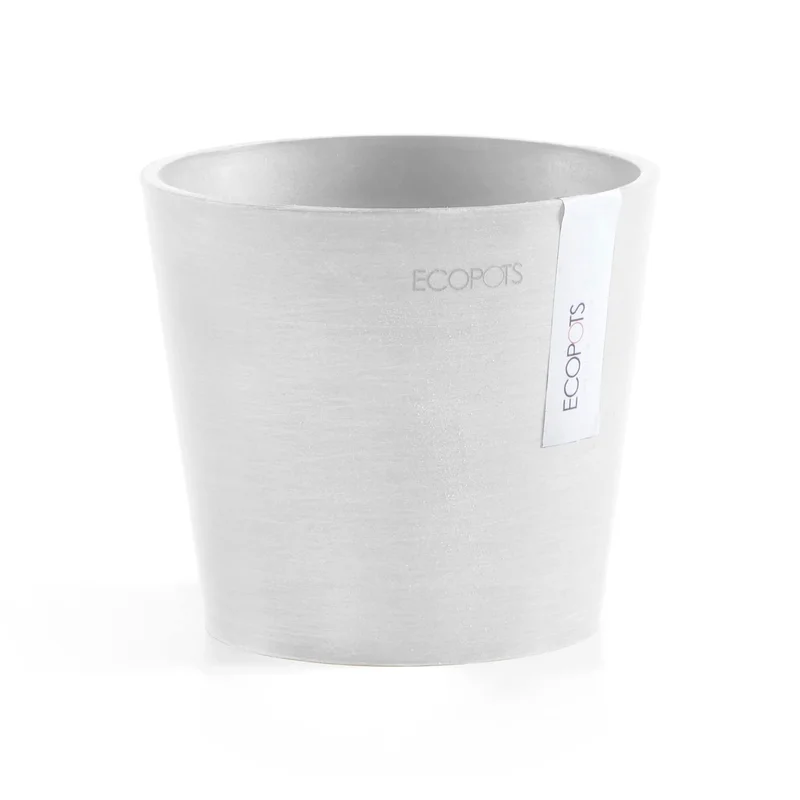 ibspot-45727632