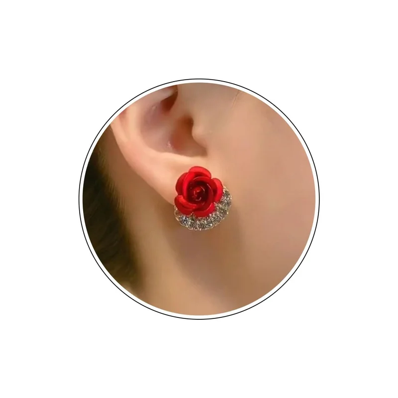 ibspot-548564