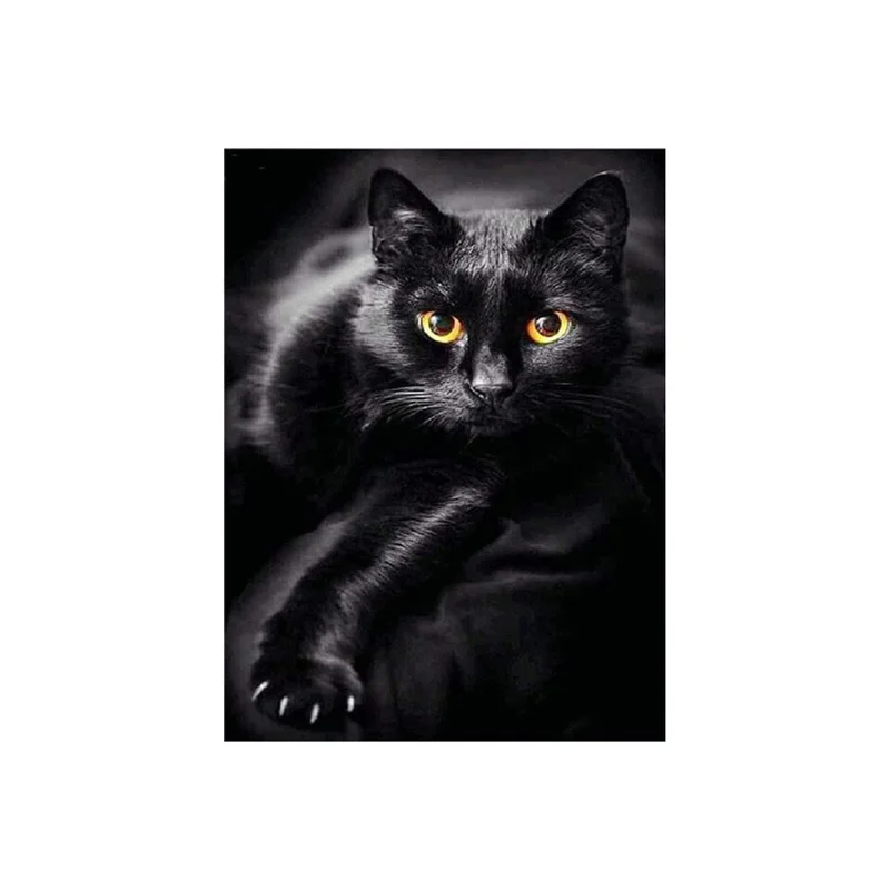 ibspot-55222777