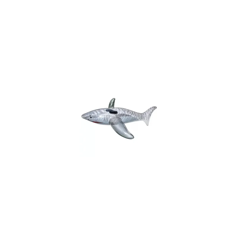 ibspot-55773987