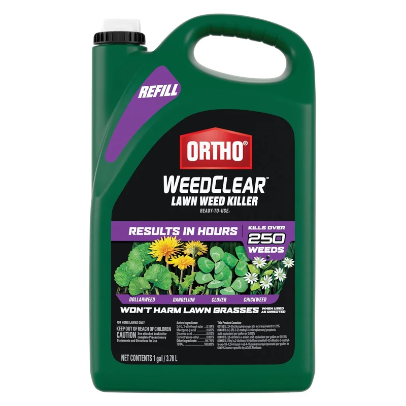 ibspot5662743