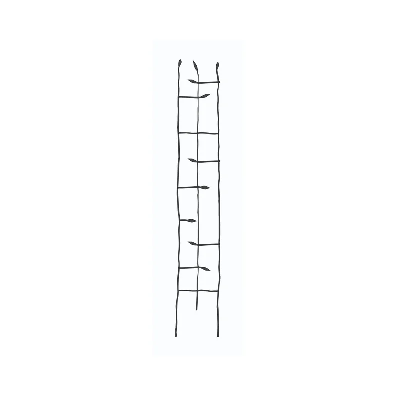 ibspot6104646