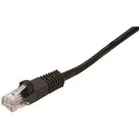 pettigrew-online4199086