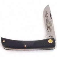 pettigrew-online4512995