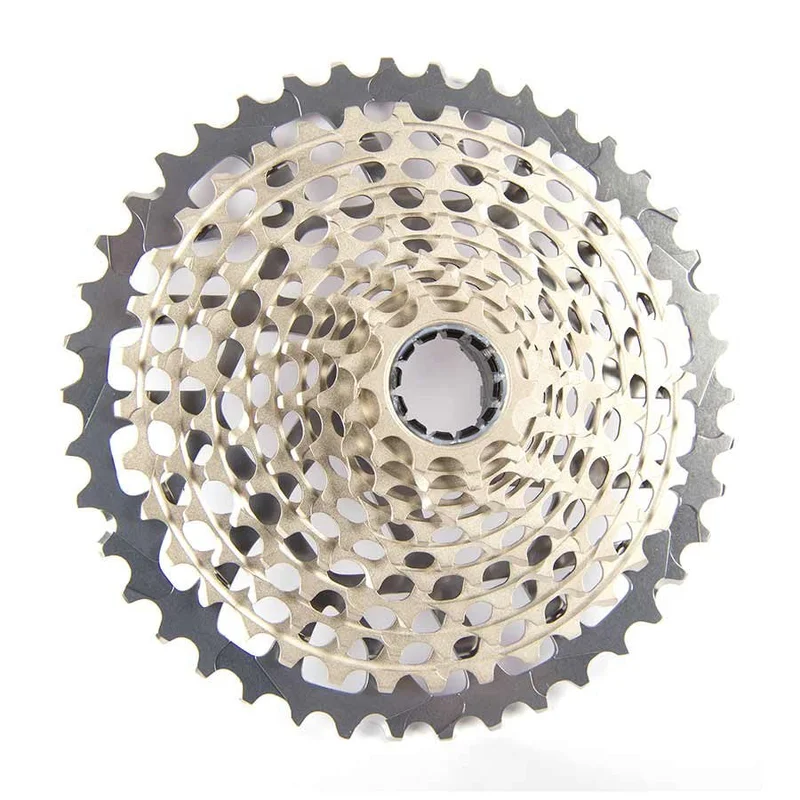 quantavici6663005