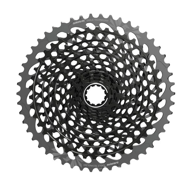 quantavici6663310