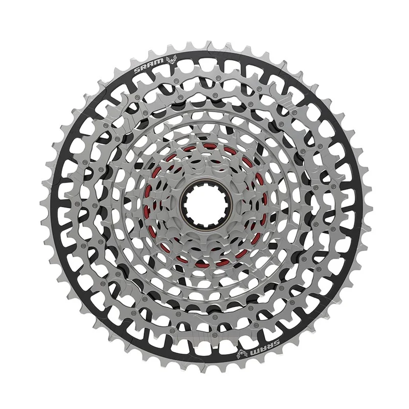 quantavici6663923