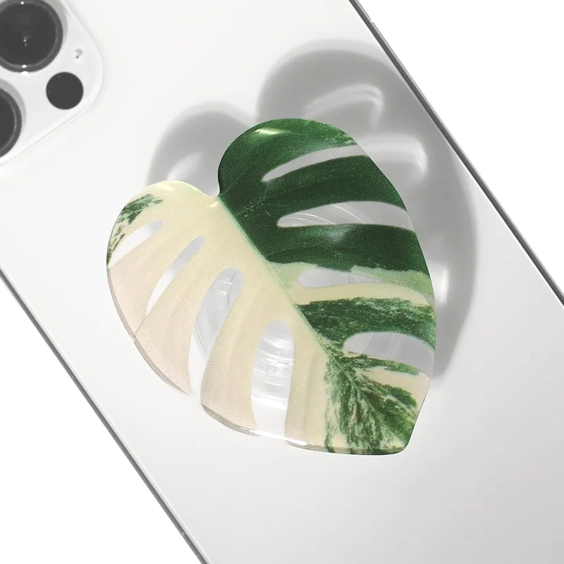 zeebooth-24207223