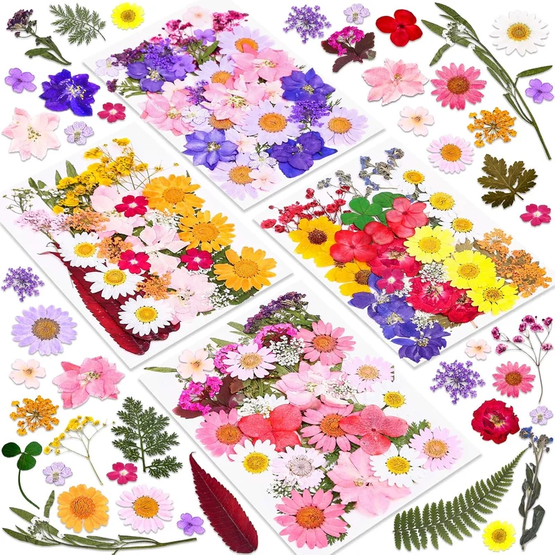 zeebooth-24520349