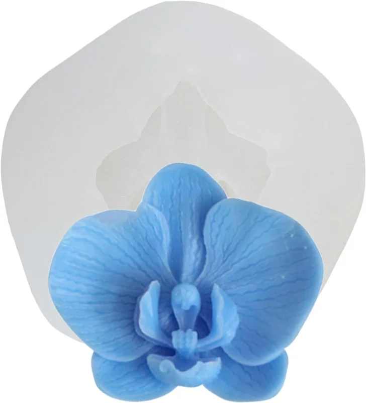 zeebooth-24680728