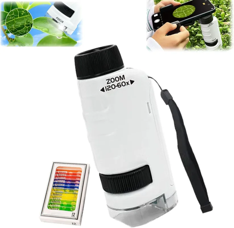 zeebooth-34688397
