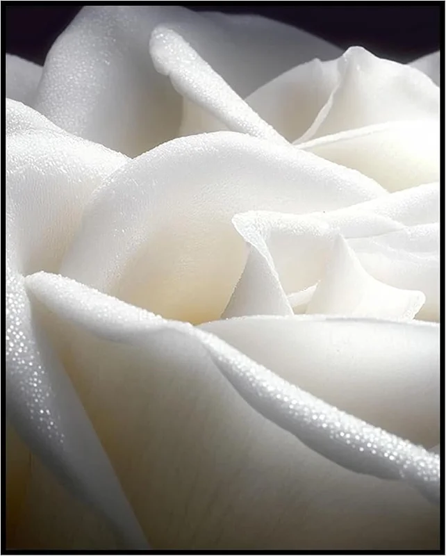 zeebooth-44225310