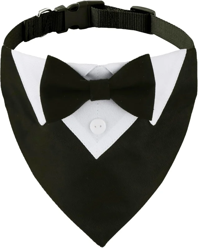 zeebooth-44454564