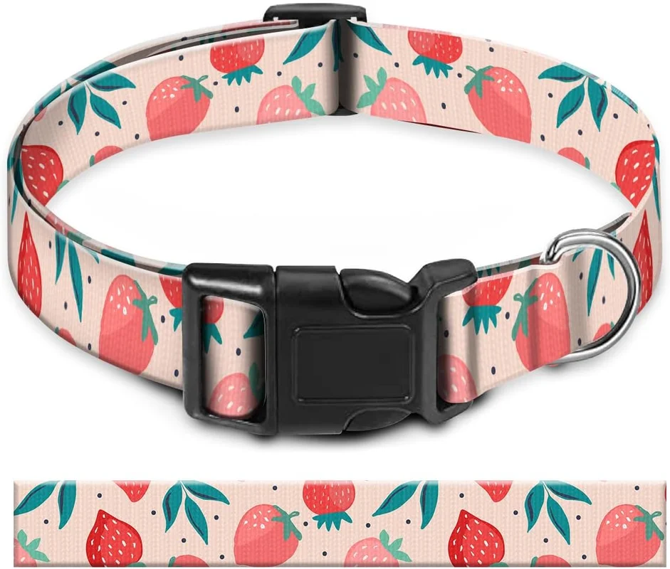 zeebooth-44521627