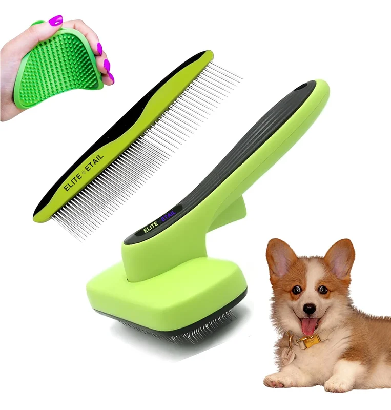 zeebooth-44545488