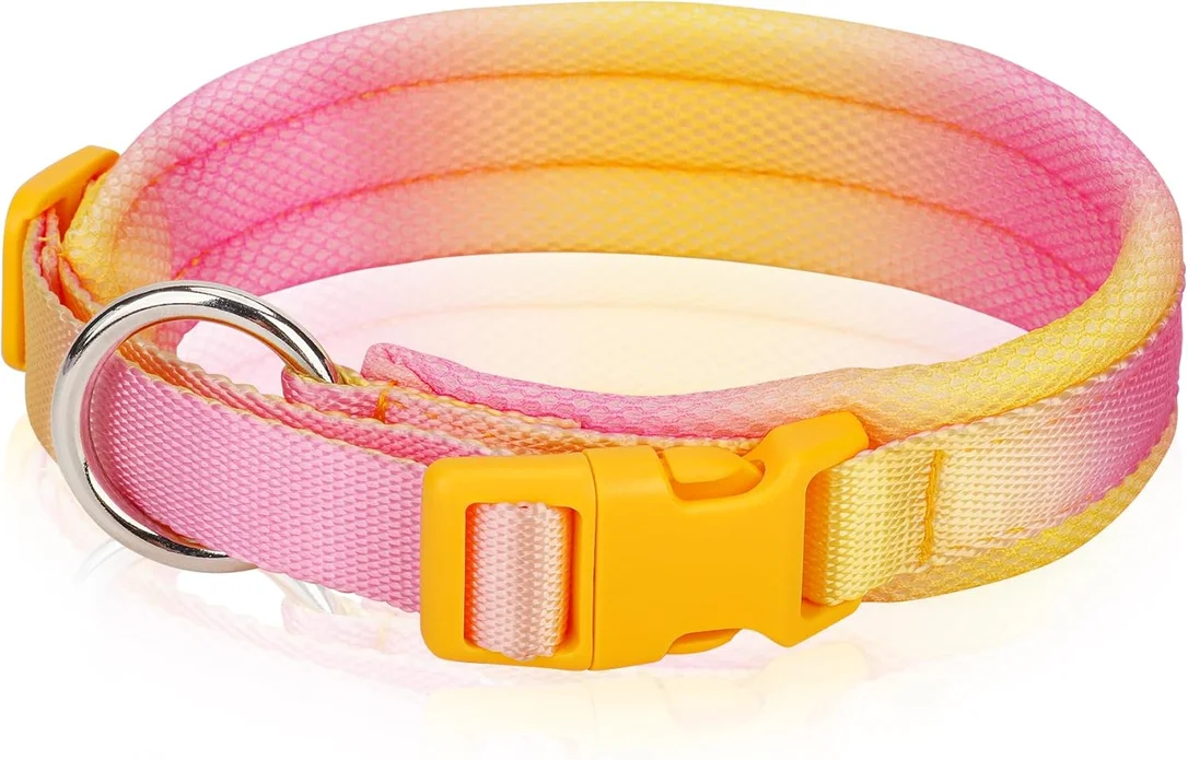zeebooth-44547369