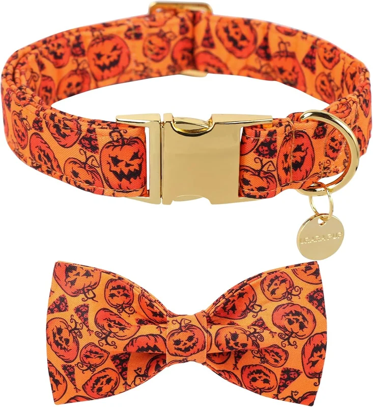 zeebooth-44561084