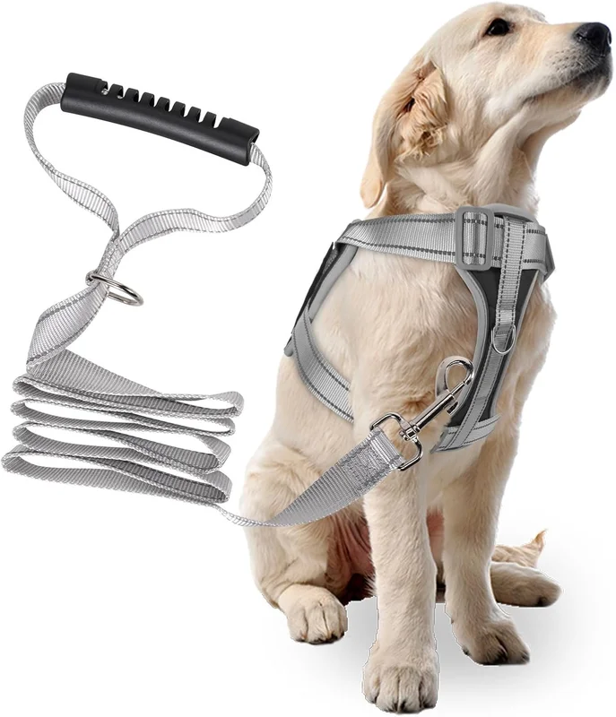 zeebooth-44565213