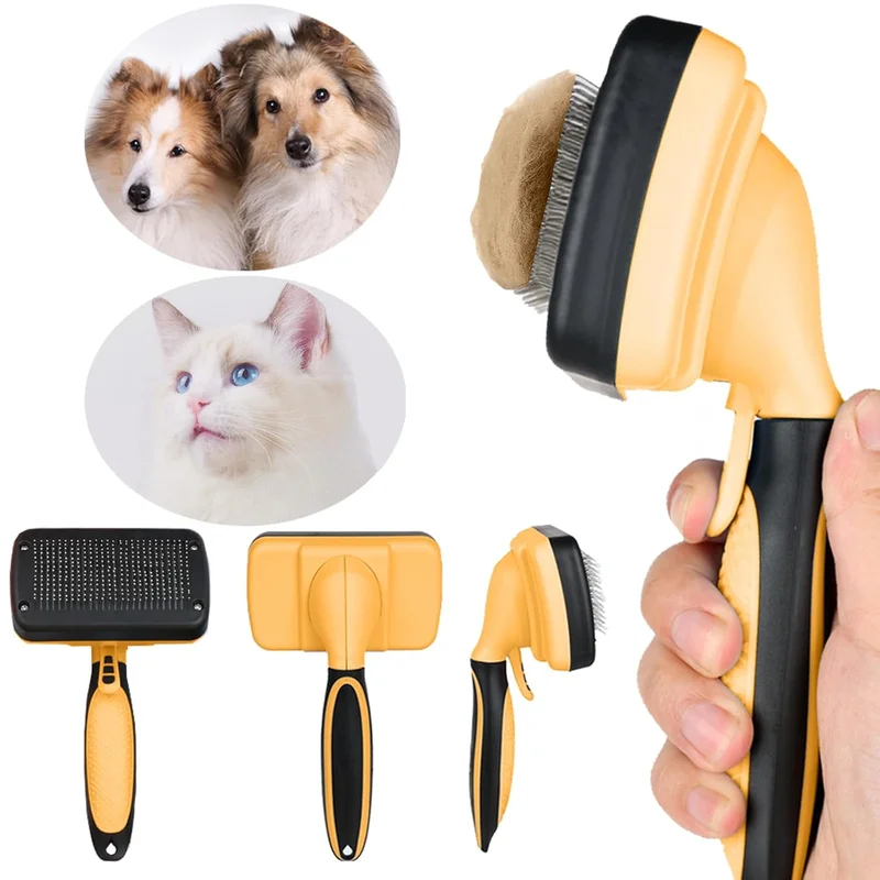 zeebooth-44628154